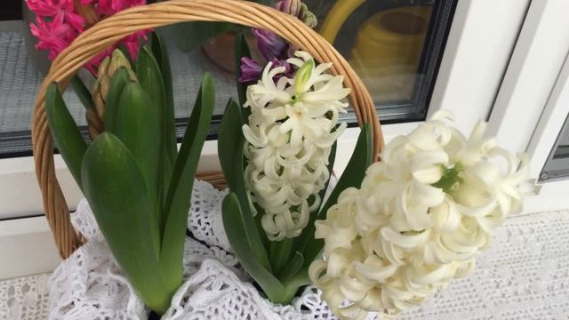 Россия, ВАО г.Москва, 06.02.2022г смотреть онлайн