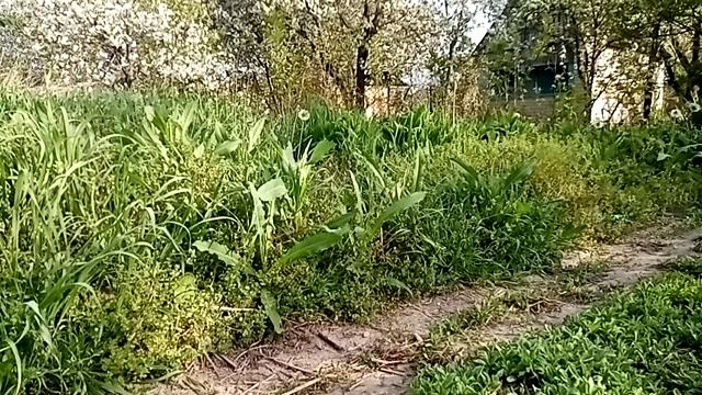 Обращение к МУДРЫМ мира сего