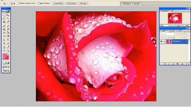 022 know the tools in photoshop (20/20) смотреть онлайн