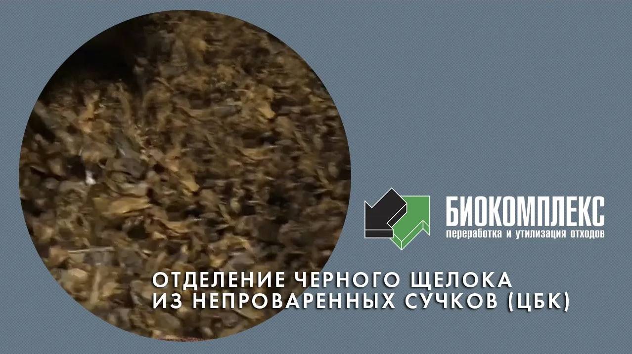 Отделение черного щелока из непроваренных сучков в целлюлозно-бумажной промышленности смотреть онлайн