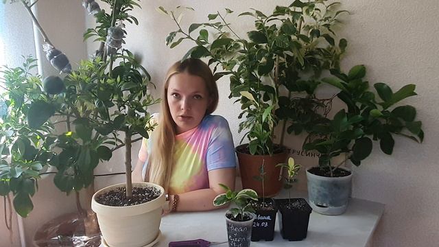 Озерные странствия: приключения и удивительные места.