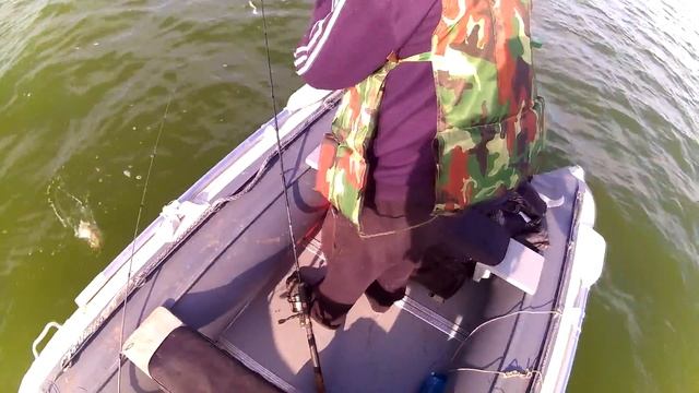 оз. Сартлан. Рыбалка на окуня в "толпе" смотреть онлайн