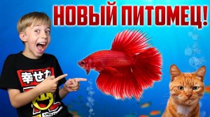 У НАС НОВЫЙ ПИТОМЕЦ!