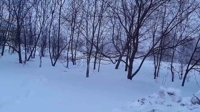 17 января-ФЕОКТИСТОВ ДЕНЬ.Не выходите из дома.Положите это на окно.Кто насылает метель.Приметы смотреть онлайн