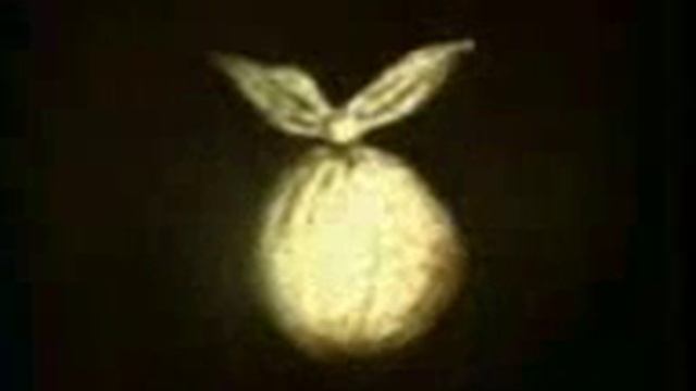 ежик в кумаре мультик смотреть онлайн