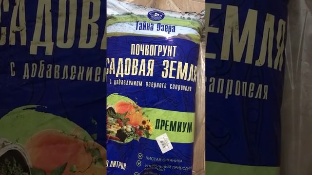 Приобрела новиночку (почвогрунт для растюх) #комнатныерастения #цветы #рассада #покупки смотреть онлайн