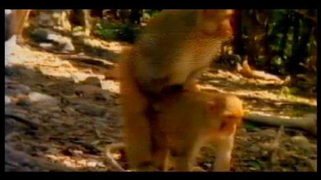 Bloodhound gang смотреть онлайн