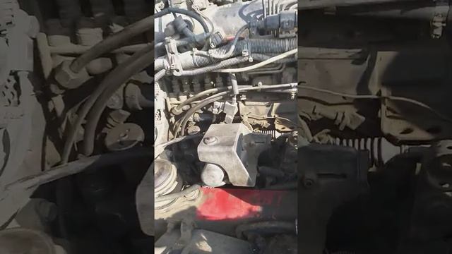 Где находится табличка модель номер двигателя рено премиум midr смотреть онлайн