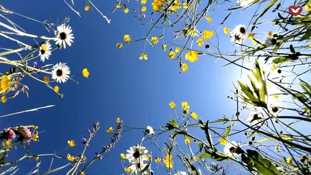 Прямая трансляция / Богослужение «Терапия любви» / 20.04.2023 в 19:00 (МСК) смотреть онлайн
