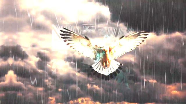 THY'§ TWELVE TOOTH. BEST%