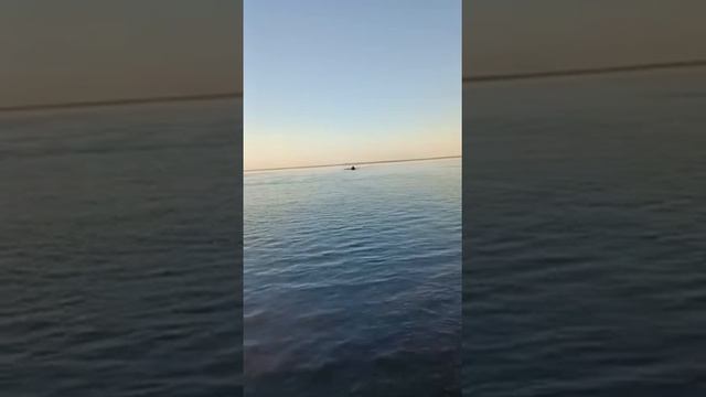 Риб своими руками смотреть онлайн