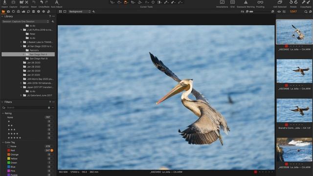 Deleting Your Capture One Rejects смотреть онлайн