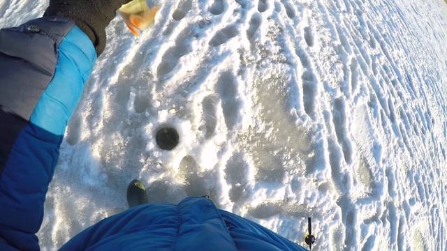 Безумный окунь на балансир. Рыбалка на Финском заливе. смотреть онлайн