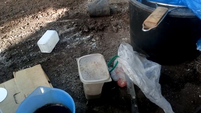 РАЗГОНЯЕМ КОРНЕВУЮ У ТОМАТА +ВНЕСЕНИЕ ФУНГИЦИДА ОТ ФУЗАРИОЗНЫХ КОРНЕВЫХ ГНИЛЕЙ смотреть онлайн