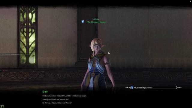 Bless Online 🎈🎈 Стоит ли начинать играть??? смотреть онлайн