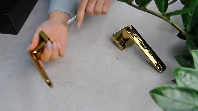 4 ноября 2023 г. смотреть онлайн