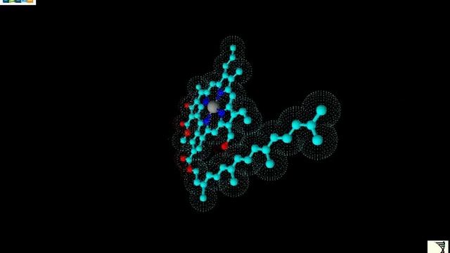 Radiotrophic Fungi-Proposed Explanation-Episode (I)- Scope смотреть онлайн