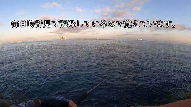 青物のサビキ釣り状態なんて幻だろうと思っていました。この日までは…【ショアジギング】 смотреть онлайн