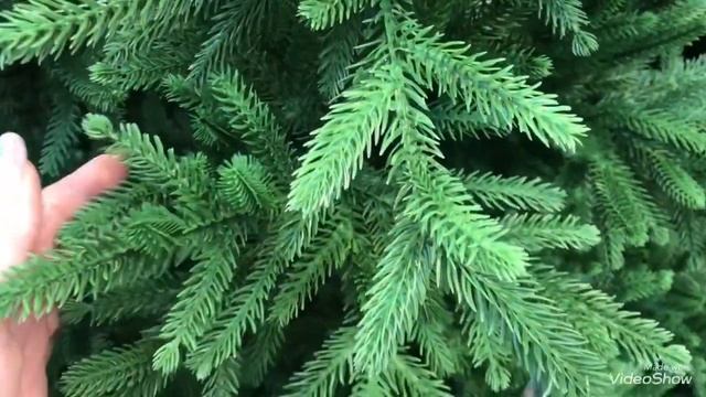 Ёлки 2022 в Оби! Новый год! смотреть онлайн