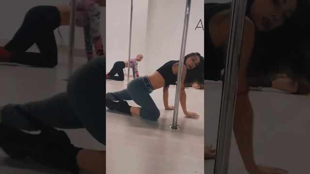 Exotic Pole Dance (экзотик полдэнс)/ Daria__terra/ связка #33