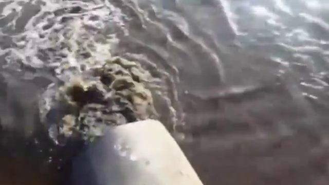 Сточные воды, стекающие в Волгу в районе Полушкиной рощи, опасности не представляют смотреть онлайн