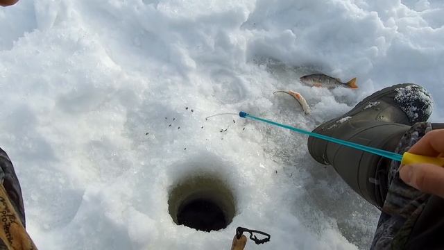 Зимняя рыбалка на чебака озеро Сунгуль смотреть онлайн