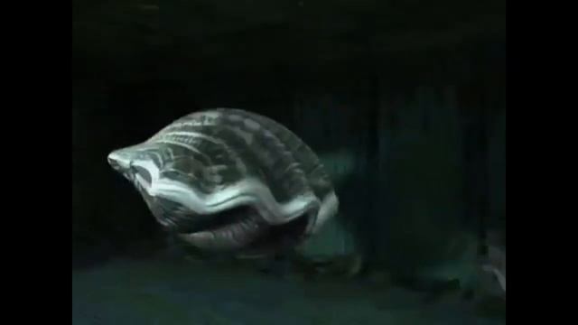 Redone Songs: Hey Dolphin! смотреть онлайн