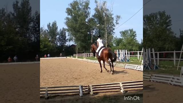 Терский Тибет (п/ф Серая лошадь). Продается смотреть онлайн