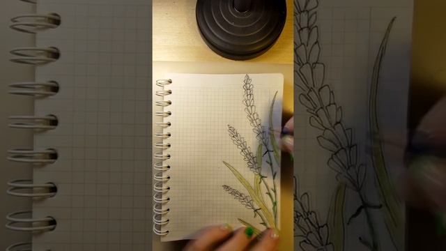 Как нарисовать лаванду в блокноте карандашом | эскизы и скетчи смотреть онлайн
