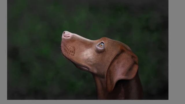Акварельный фон в программе Autodesk sketchbook! смотреть онлайн