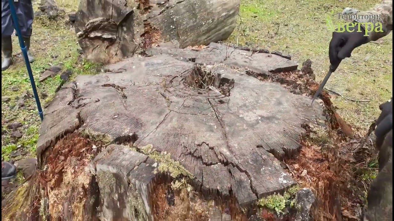 Территория ветра отдыхает в Архызе. Часть 6 смотреть онлайн