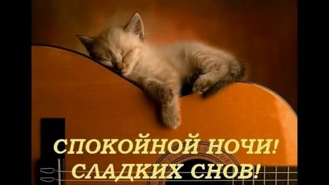 Спокойной ночи,Я.О.=)=)=) смотреть онлайн