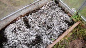 как убрать плесень в теплице.