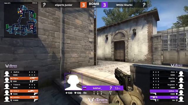 ШОУ-МАТЧ в честь дня рождения eSports Central Arena | White Sharks vs. eS... смотреть онлайн