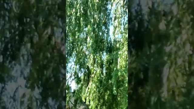 Warszawa zoo смотреть онлайн