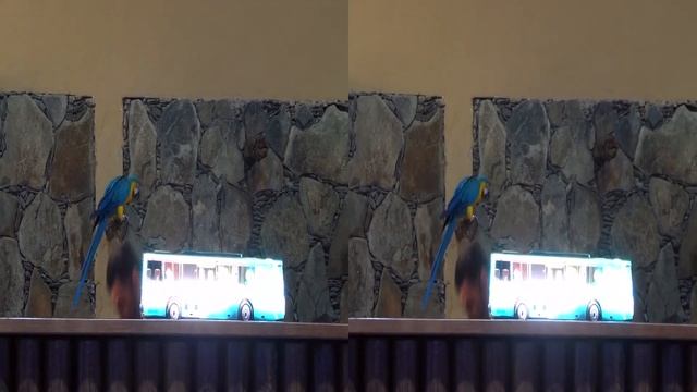 3d Palmitos park gran canaria смотреть онлайн