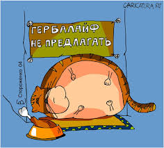 Хотите похудеть?! будьте осторожны!!!! Что скрывается за марафонами для похудения!!!!?