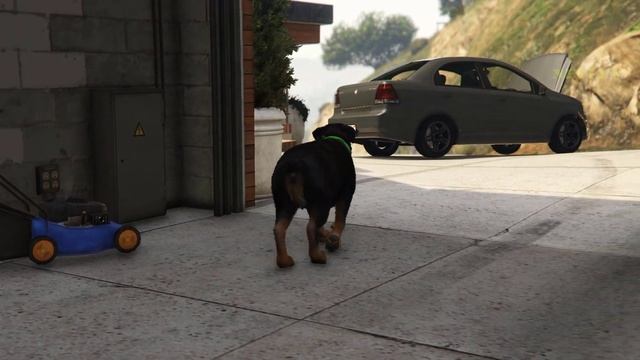 GTA V - Chop meets Rat смотреть онлайн