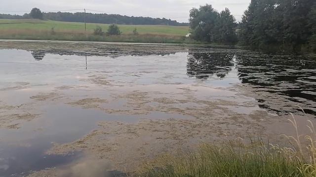 Первая рыбалка смотреть онлайн