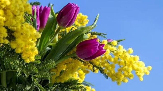 Классическая музыка для детей. Увертюра #классика #классическая_музыка #классикадлядетей смотреть онлайн