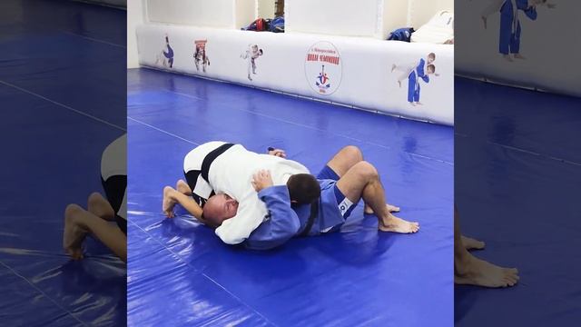 Дзюдо для взрослых смотреть онлайн