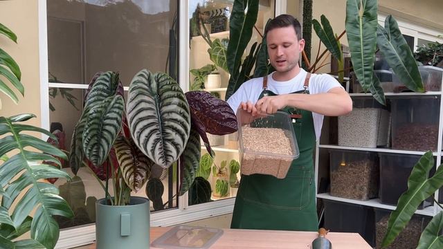 POTTING MIX - all you need to know to make an amazing substrate for your plants #diy смотреть онлайн