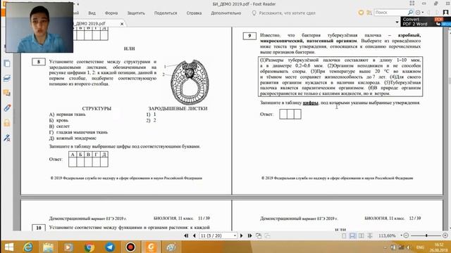 Разбор демоверсии ЕГЭ по БИОЛОГИИ 2019. Часть 1! смотреть онлайн
