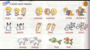 Spotlight. Английский язык. 3 класс. Часть 9b. Стр. 76. Упражнение 2