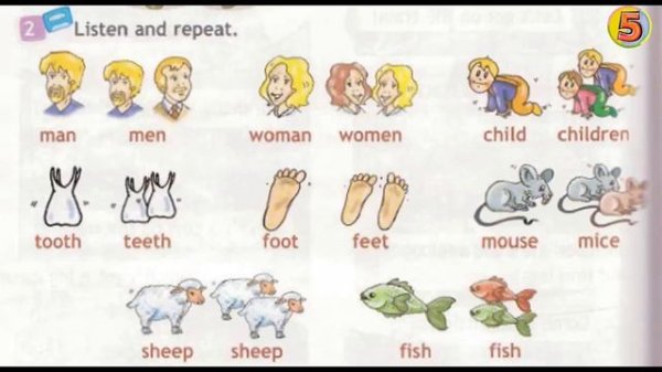 Spotlight. Английский язык. 3 класс. Часть 9b. Стр. 76. Упражнение 2