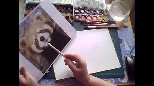 Портрет малой панды. Часть 2. смотреть онлайн