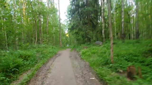 Велодорожка из ЖК Новое Сертолово в мкр Сертолово 1 смотреть онлайн