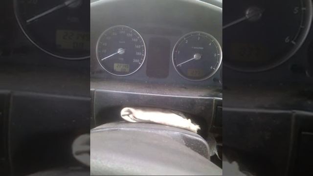 Запуск после ремонта змз 406 часть 7 смотреть онлайн