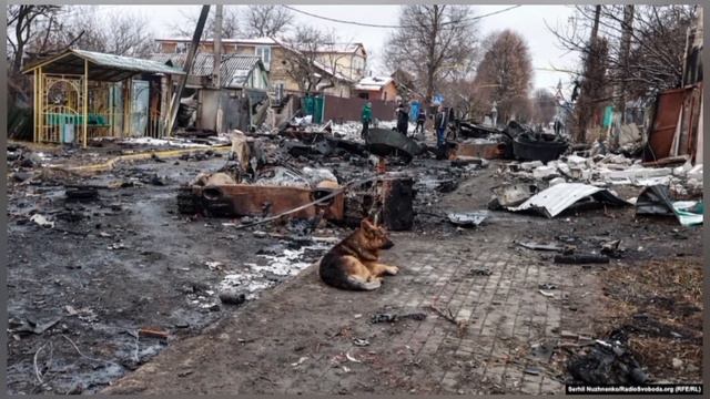 Беларусь Ты Забыл Брат Коля Витебск смотреть онлайн