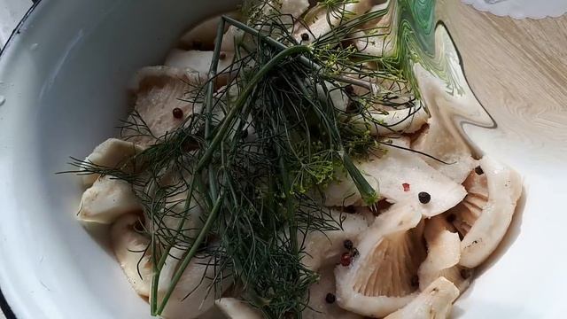 Рецензии на Фильмы